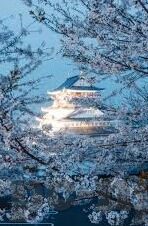 剑逆九天游尘txt下载-凌霄剑神再现江湖——剑逆九天游尘txt下载